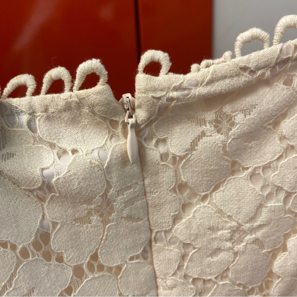 Adrianna Papell Lace Shift Dress in Cream | Size 12P - Picture 5 of 8
